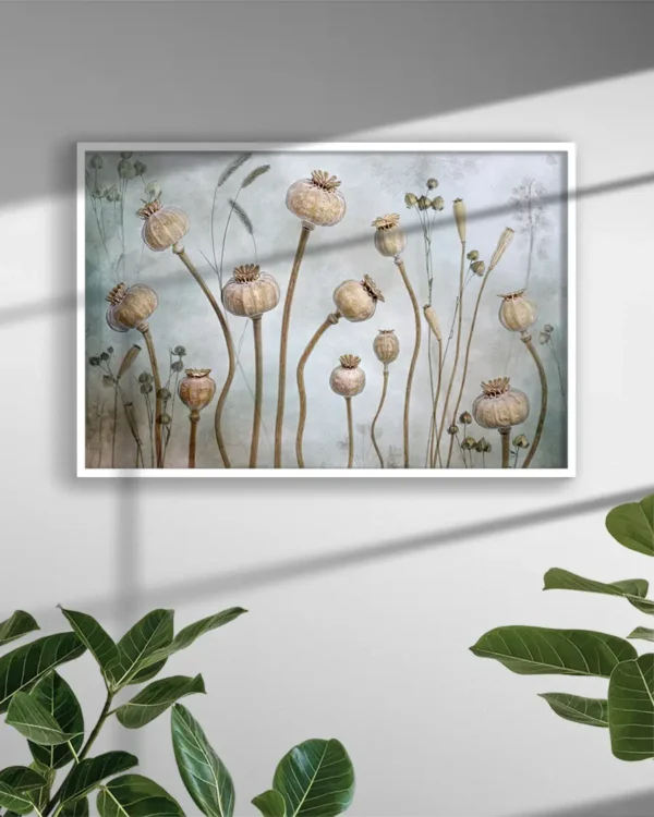 Papaver - Vallmokapslar - Poster - Ramexempel