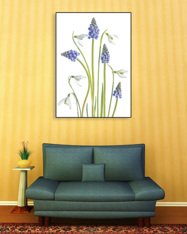 Muscari and Galanthus - Druvhyacint och Snödroppe - Poster - Ramexempel