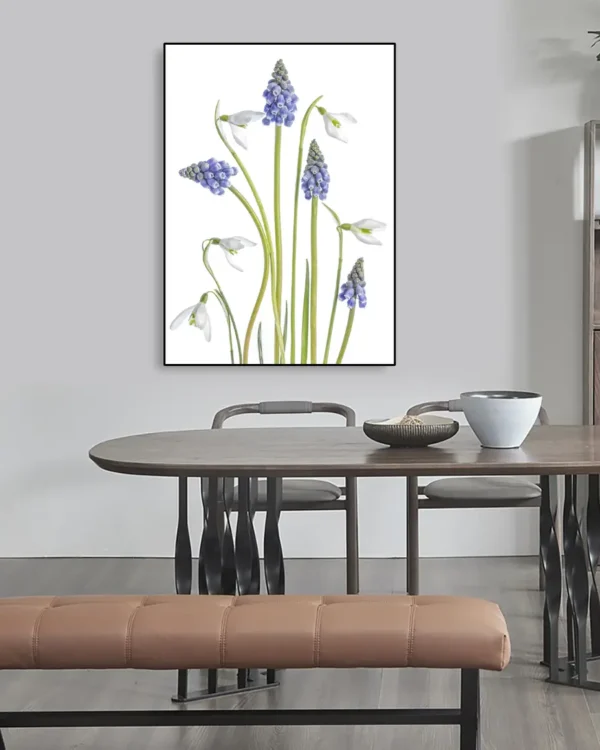 Muscari and Galanthus - Druvhyacint och Snödroppe - Poster - Ramexempel