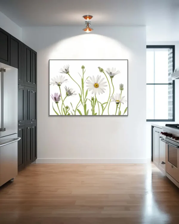 Cape Daisies - Prästkrage - Poster - Ramexempel