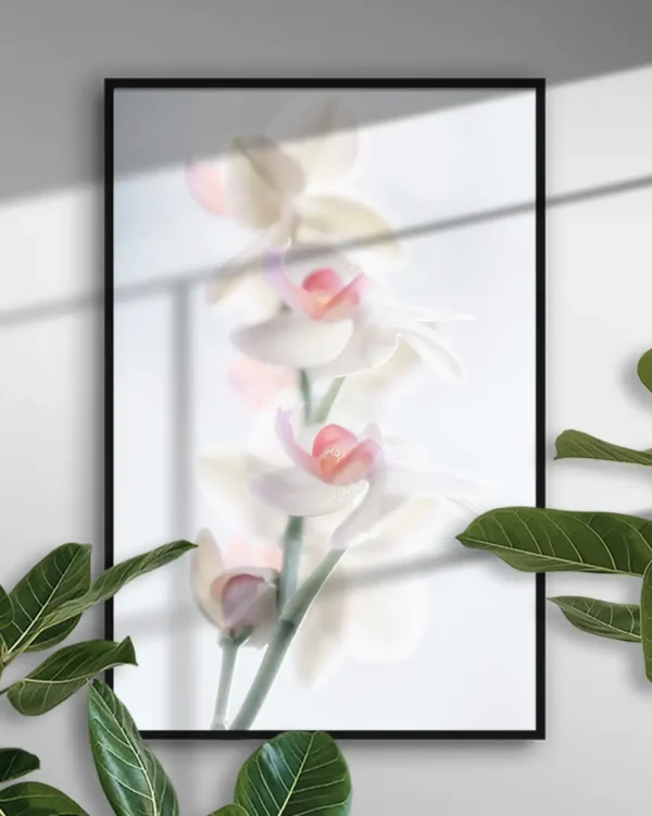 Pale Beauty - Poster - Fotografi - Ramexempel