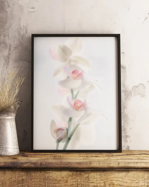 Pale Beauty - Poster - Fotografi - Ramexempel