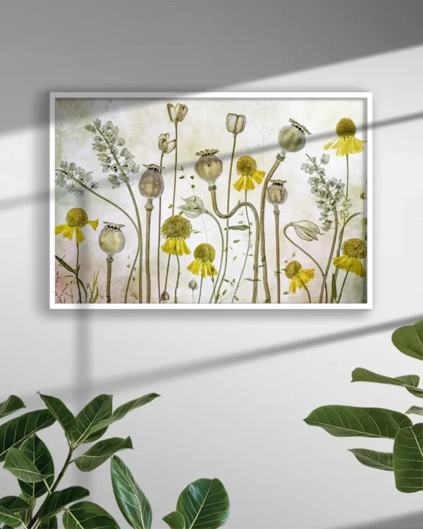 Poppies and Helenium - Poster - Ramexempel