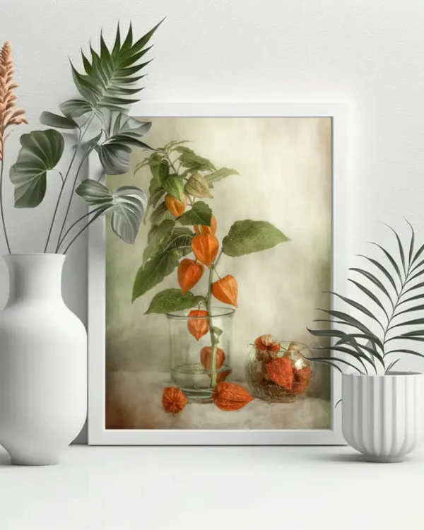 Lanterns - Physalis - Poster - Fotografi - Ramexempel