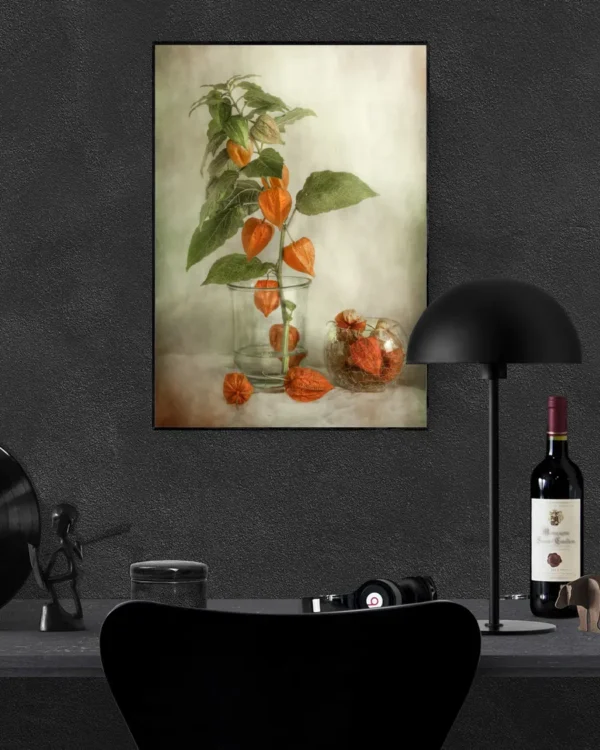 Lanterns - Physalis - Poster - Fotografi - Ramexempel
