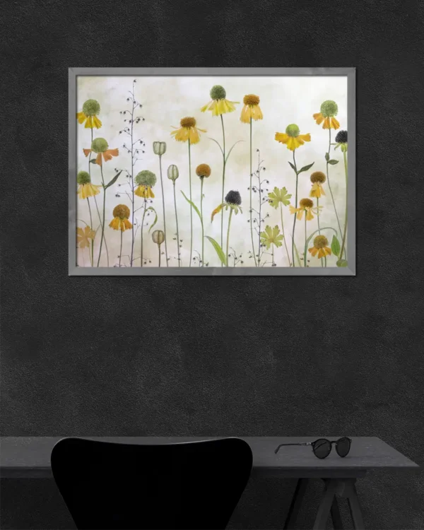 Helenium - Solbrudar - Poster - Ramexempel