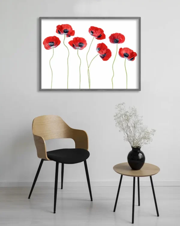 Ladybird Poppies - Fläckvallmo - Poster - Ramexempel