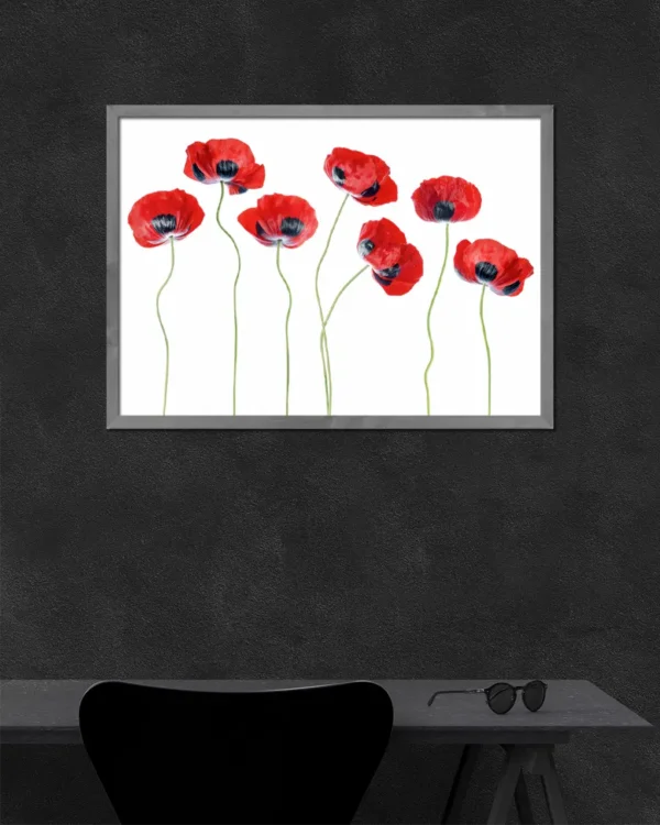 Ladybird Poppies - Fläckvallmo - Poster - Ramexempel