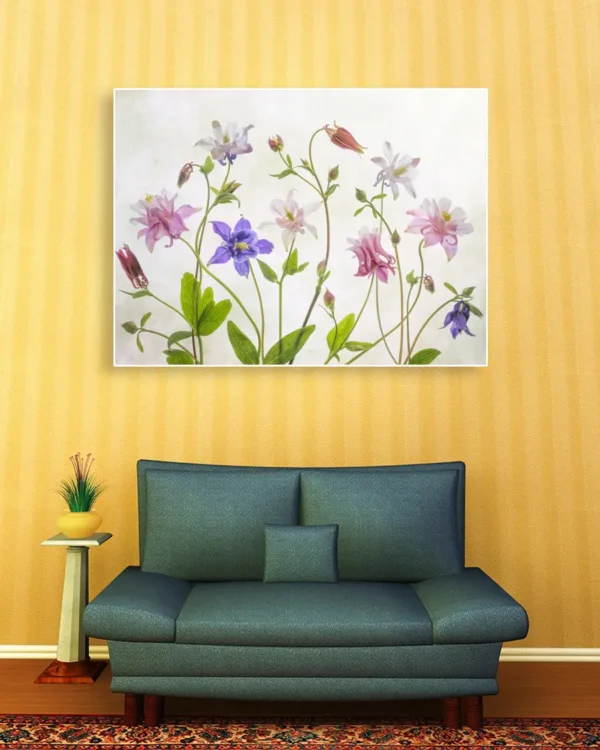 Columbine - Akleja - Poster - Ramexempel