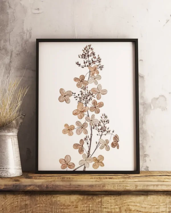 Hydrangea Paniculata - Vipphortensia - Poster - Ramexempel