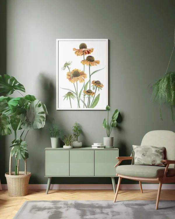 Helenium - Solbrudar - Poster - Ramexempel