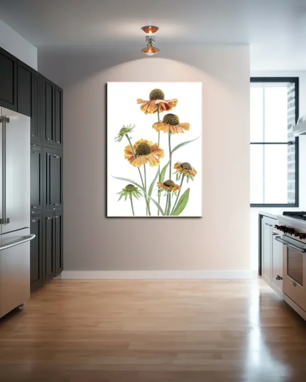 Helenium - Solbrudar - Poster - Ramexempel