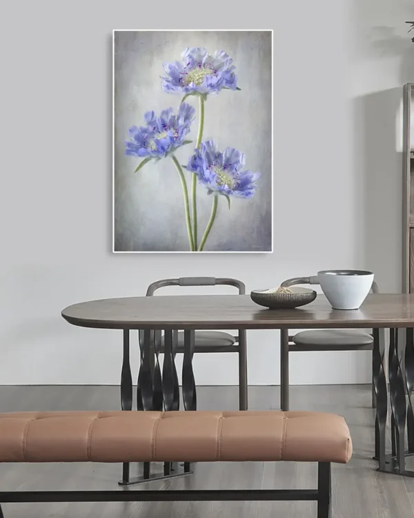 Scabiosa - Höstvädd - Poster - Ramexempel