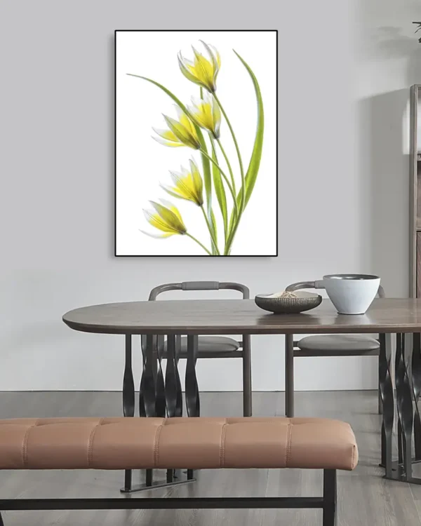 Tulipa 5 - Tulpan - Poster - Ramexempel