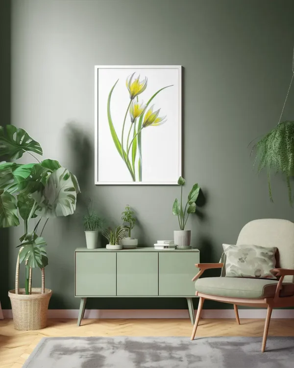Tulipa - Tulpan - Poster - Ramexempel