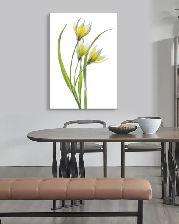 Tulipa - Tulpan - Poster - Ramexempel