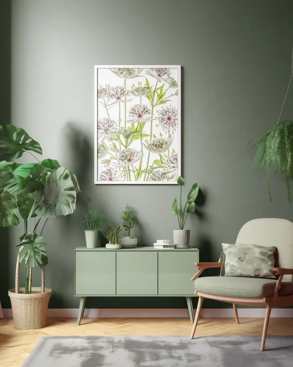 Astrantia - Stjärnflockor - Poster - Ramexempel