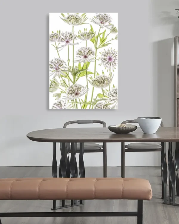 Astrantia - Stjärnflockor - Poster - Ramexempel