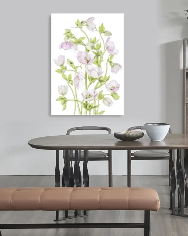 Hellebore - Julros - Poster - Ramexempel