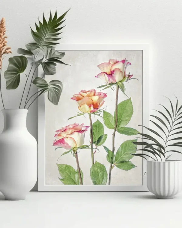 Roses - Poster - Fotografi - Ramexempel