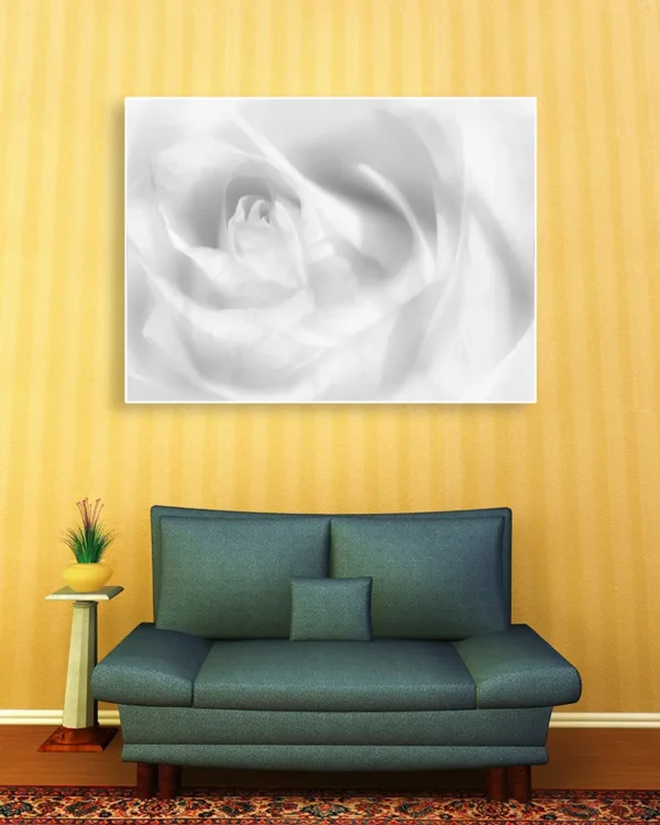 Hint of a rose - Poster -Svartvitt fotografi - Ramexempel