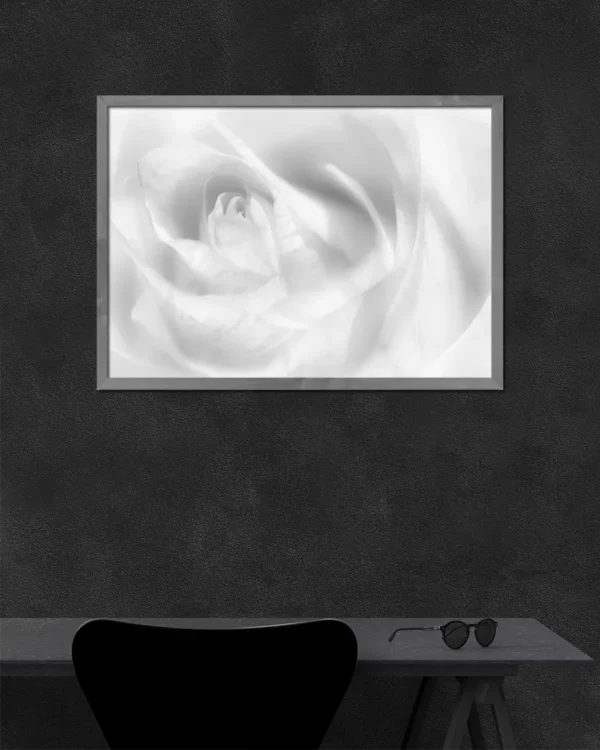 Hint of a rose - Poster -Svartvitt fotografi - Ramexempel
