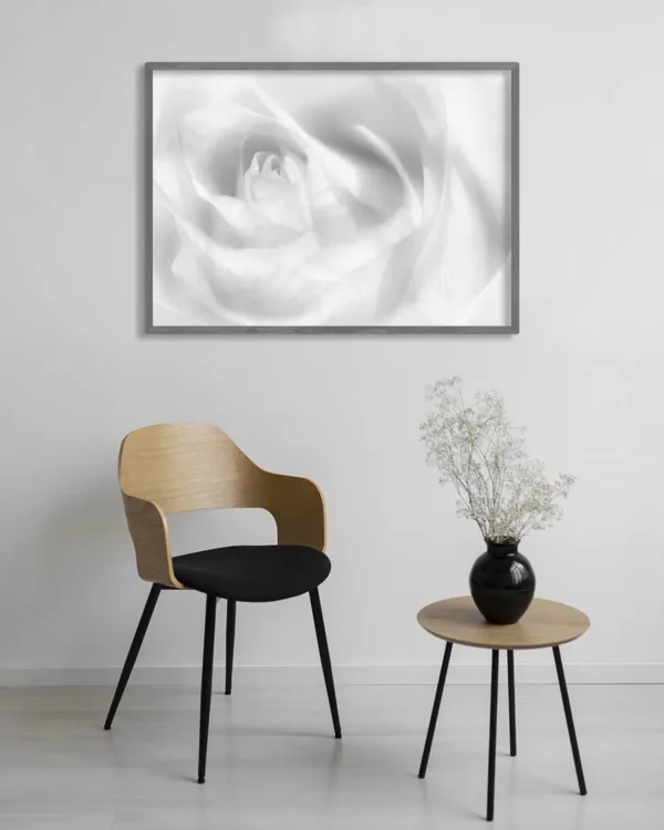 Hint of a rose - Poster -Svartvitt fotografi - Ramexempel