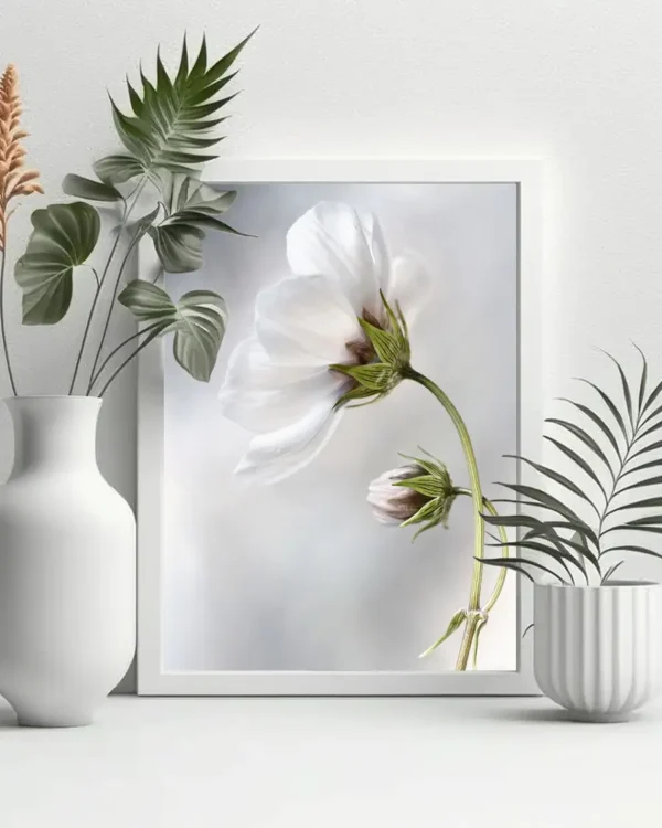 Heavenly Cosmos - Magnolia - Poster - Fotografi - Ramexempel