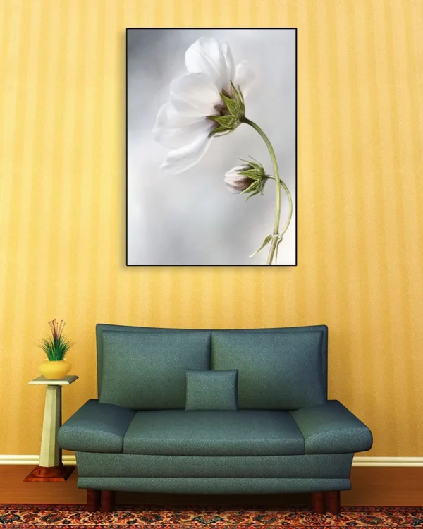 Heavenly Cosmos - Magnolia - Poster - Fotografi - Ramexempel