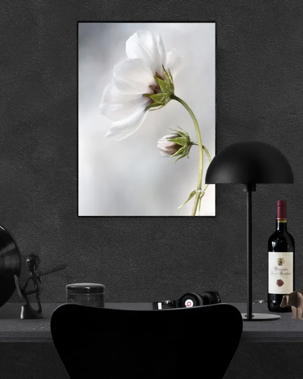 Heavenly Cosmos - Magnolia - Poster - Fotografi - Ramexempel