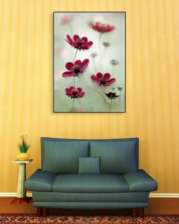 Cosmos sway - Chokladskära - Poster - Fotografi - Ramexempel