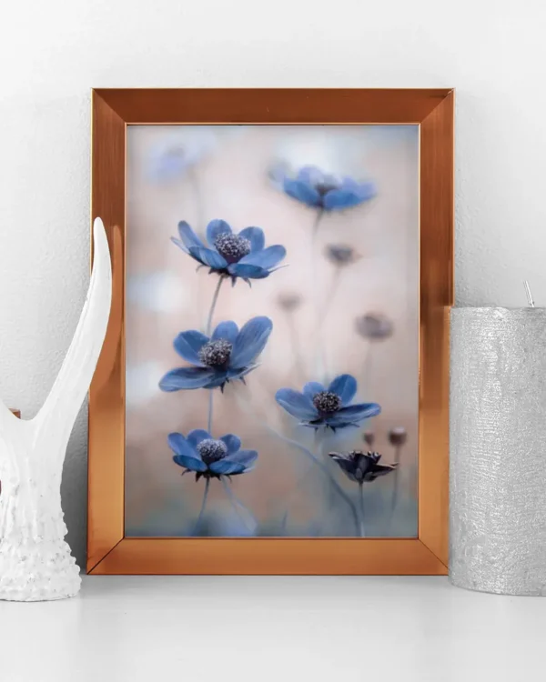 Cosmos Blue - Poster - Fotografi - Ramexempel