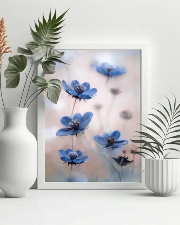 Cosmos Blue - Poster - Fotografi - Ramexempel