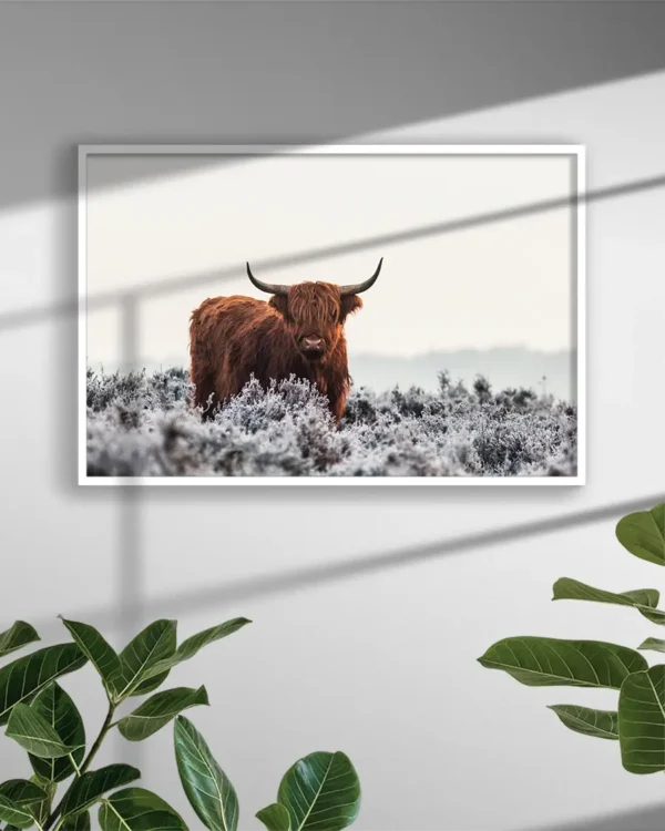 Highlander - Poster - Fotografi - Ramexempel