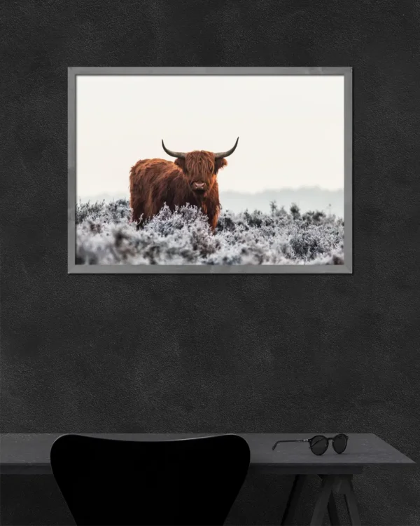 Highlander - Poster - Fotografi - Ramexempel