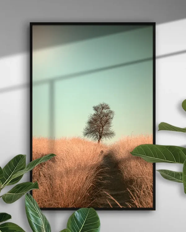 Grass and Path - Poster - Fotografi - Ramexempel