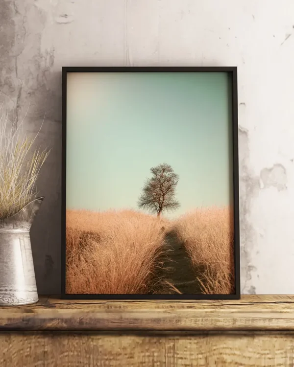 Grass and Path - Poster - Fotografi - Ramexempel