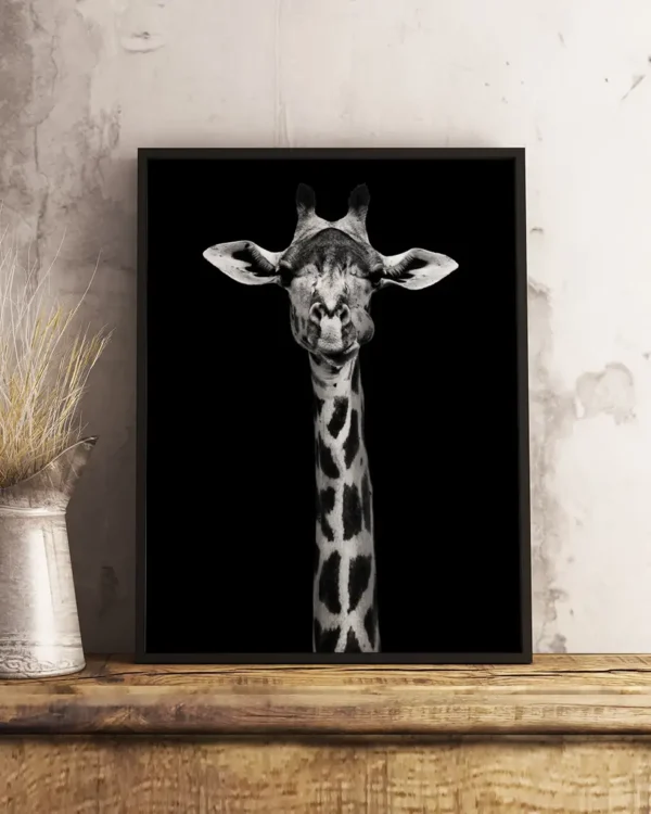 Giraffe Portrait - Poster - Svartvitt fotografi - Ramexempel