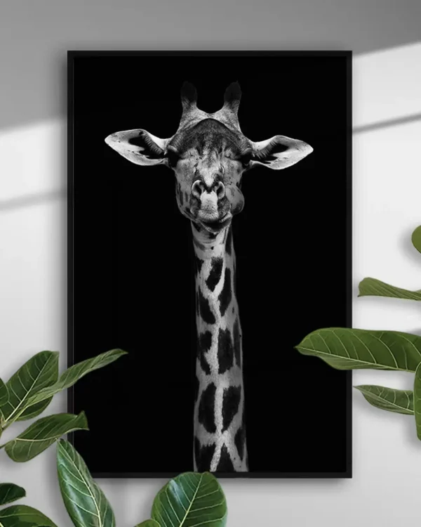 Giraffe Portrait - Poster - Svartvitt fotografi - Ramexempel