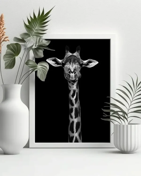 Giraffe Portrait - Poster - Svartvitt fotografi - Ramexempel