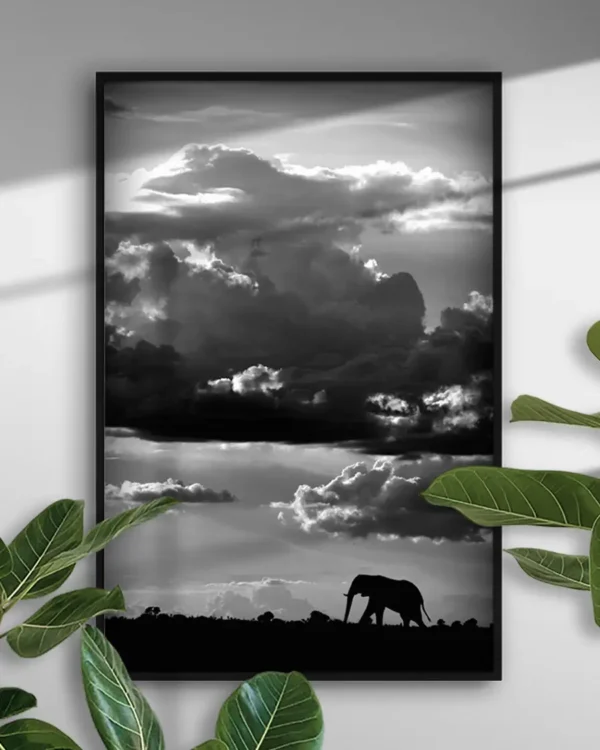 He walks under an African Sky - Poster - Svartvitt fotografi - Ramexempel
