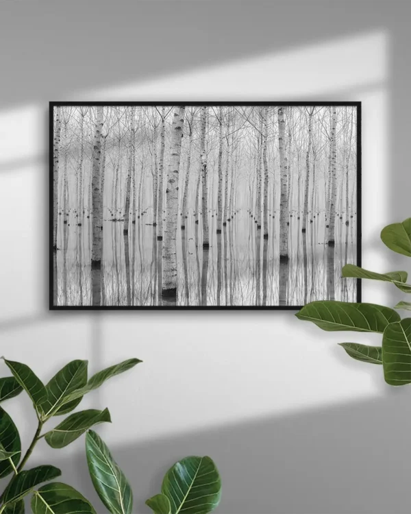 Novembre 2014 - Poster - Svartvitt fotografi - Ramexempel