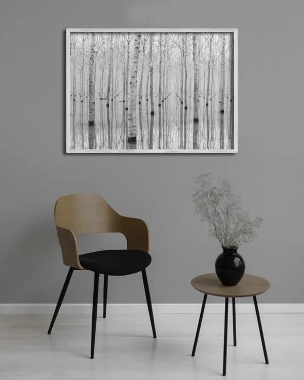 Novembre 2014 - Poster - Svartvitt fotografi - Ramexempel