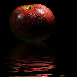 Red Apple Reflection - Poster. En elegant och stämningsfull poster där ett rött äpple speglas i en stilla vattenspegel.