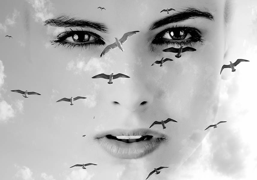 Birdwatch - Poster - Ett uttrycksfullt svartvitt fotomontage där en kvinnas ansikte smälter samman med en flock svävande måsar
