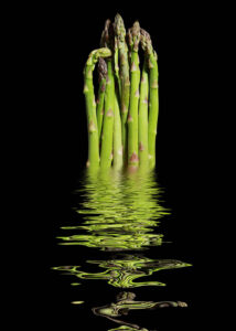 Green Asparagus Reflection - En stilren och modern poster där ett knippe färska sparrisstänger svävar ovanför en speglande vattenyta.