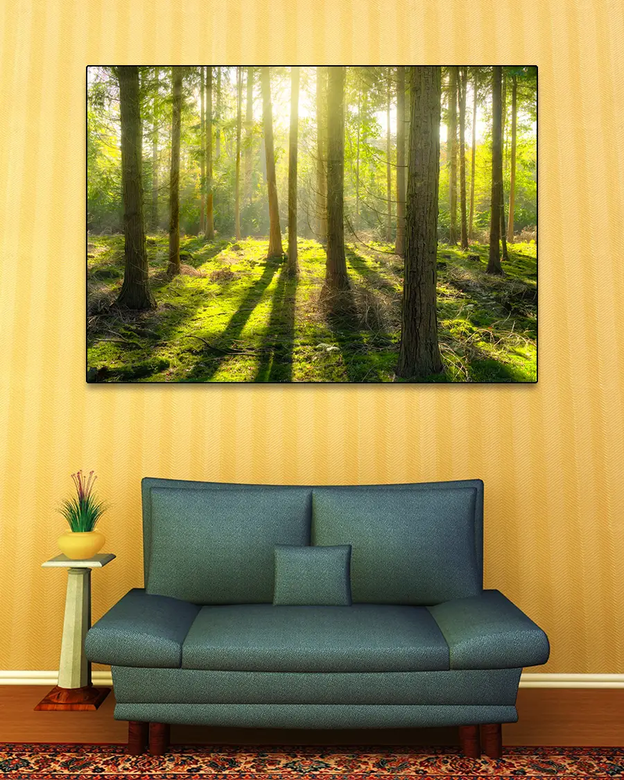 Solsken genom den täta skogen – Poster – Ett stämningsfullt naturfotografi - Ramexempel