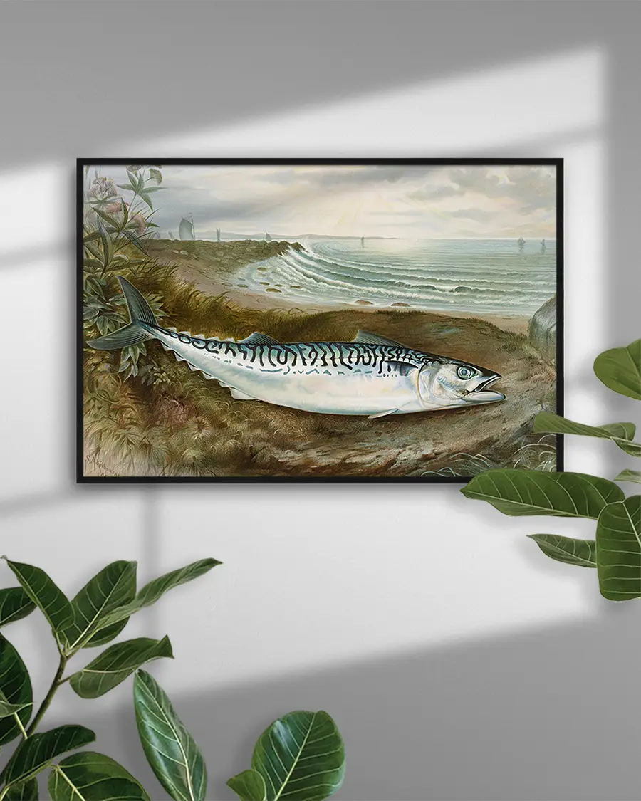 Makrill – Mackerel Fish – Poster – Illustration - Bild 4