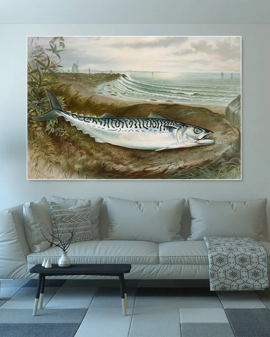 Makrill – Mackerel Fish – Poster. En vacker och detaljrik vintageillustration av en makrill - Ramexempel