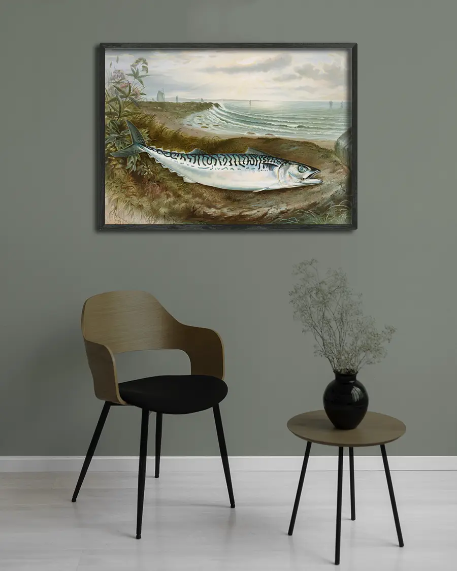 Makrill – Mackerel Fish – Poster. En vacker och detaljrik vintageillustration av en makrill - Ramexempel